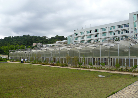 9.6m Tunnel Width Polycarbonate Greenhouse for Sustainable Agricultural Practices