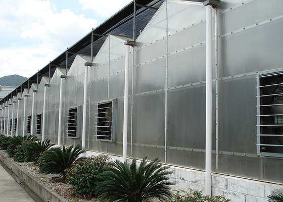 Customized Polycarbonate Sheet Greenhouse For Year Round Flower And Vegetable Growth