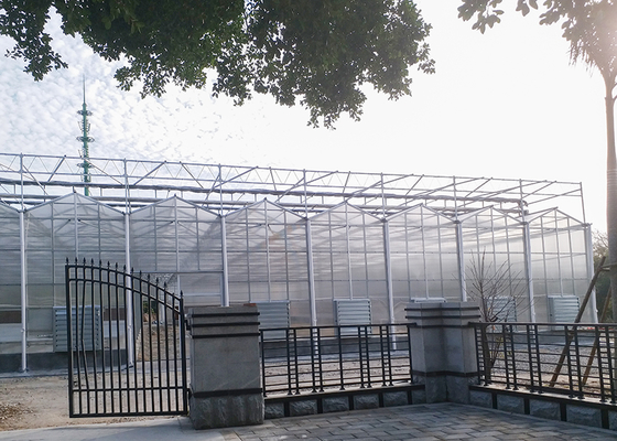 9.6m Tunnel Width Polycarbonate Greenhouse for Sustainable Agricultural Practices