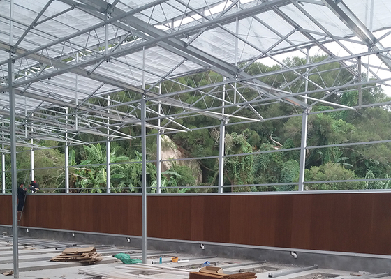 9.6m Tunnel Width Polycarbonate Greenhouse for Sustainable Agricultural Practices