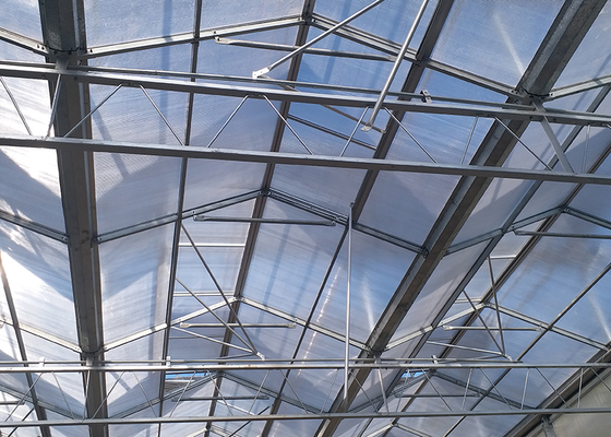 9.6m Tunnel Width Polycarbonate Greenhouse for Sustainable Agricultural Practices
