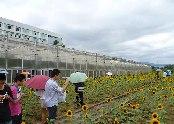 Customizable Commercial Polycarbonate Greenhouse High Shoulder For Agriculture