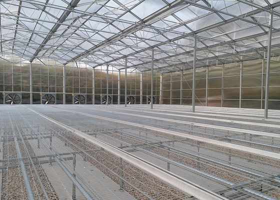 WL108Y Large IGreen Polycarbonate Panels Customized Length for Greenhouse