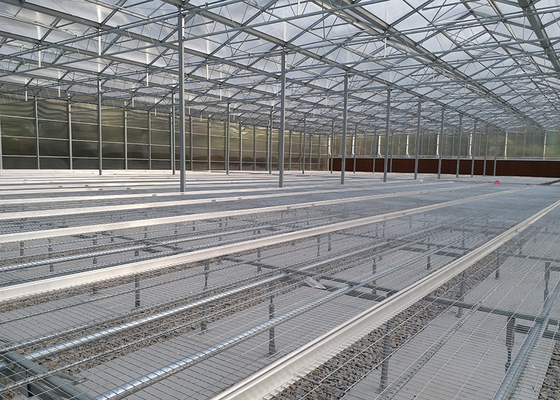 WL108Y Large IGreen Polycarbonate Panels Customized Length for Greenhouse