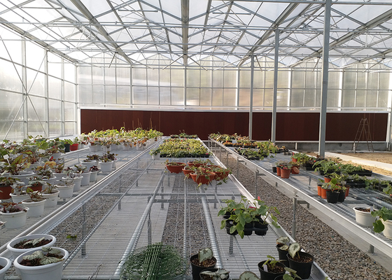 WL108Y Large IGreen Polycarbonate Panels Customized Length for Greenhouse