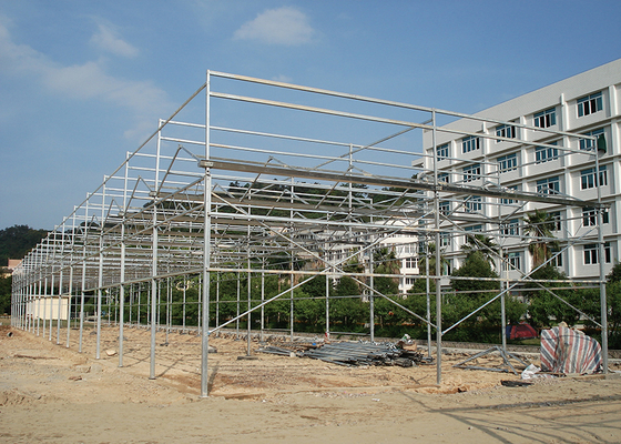 Customized Poly Tunnel Greenhouse Multi Span Agricultural polycarbonate tunnel greenhouse