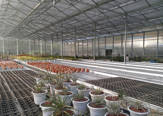 Polycarbonate Greenhouse Sheet with Customized Length and 9.6 Meter Tunnel Width
