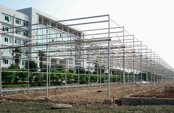 Customizable Commercial Polycarbonate Greenhouse High Shoulder For Agriculture