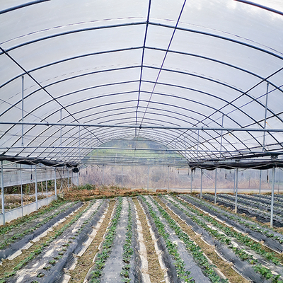 Single Layer IGreen Multispan Plastic Film Greenhouse for Shoulder Height 1.8-2.5m