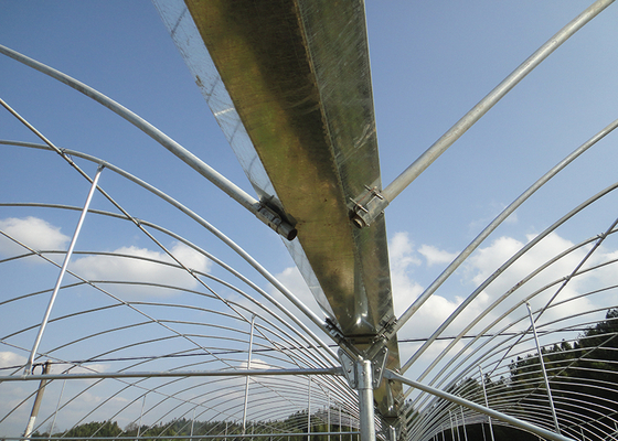 Single Layer IGreen Multispan Plastic Film Greenhouse for Shoulder Height 1.8-2.5m
