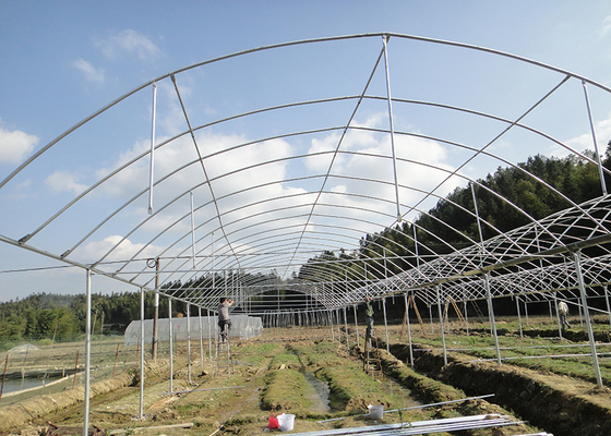 Single Layer IGreen Multispan Plastic Film Greenhouse for Shoulder Height 1.8-2.5m