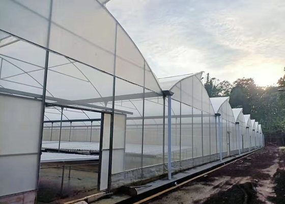 Climate Controlled Agricultural Greenhouse Hot Dipped Galvanized Steel Greenhouse