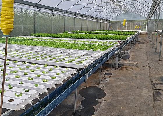 Climate Controlled Agricultural Greenhouse Hot Dipped Galvanized Steel Greenhouse