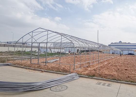 150Micron Single Span Greenhouse Customizable Plastic Film Greenhouse