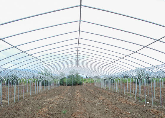 150Micron Single Span Greenhouse Customizable Plastic Film Greenhouse