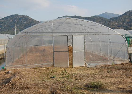 150Micron Single Span Greenhouse Customizable Plastic Film Greenhouse