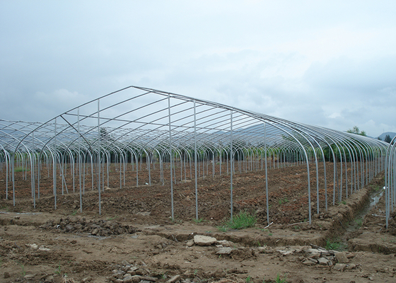 150Micron Single Span Greenhouse Customizable Plastic Film Greenhouse