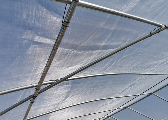 19.68' Climate Control Greenhouse PE Roof Height 6m With Ceiling Fan