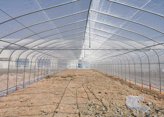 Small Scale Farming Single Span Greenhouse Customize Plastic Film Greenhouse