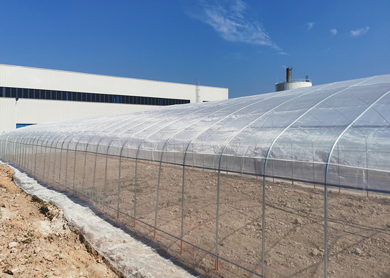 Small Scale Farming Single Span Greenhouse Customize Plastic Film Greenhouse