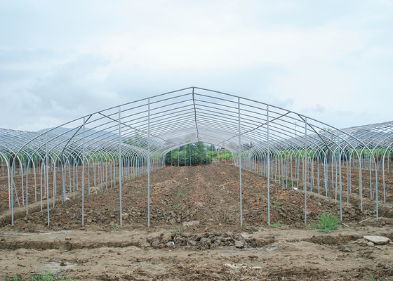 150Micron Single Span Greenhouse Customizable Plastic Film Greenhouse