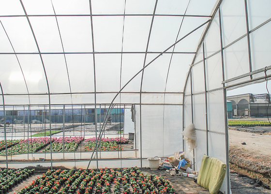 Small Scale Farming Single Span Greenhouse Customize Plastic Film Greenhouse