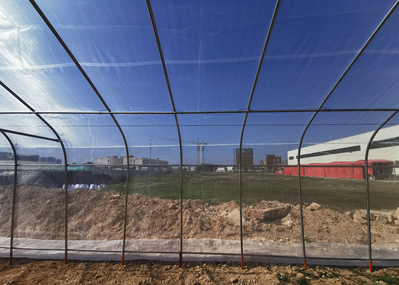 19.68' Climate Control Greenhouse PE Roof Height 6m With Ceiling Fan