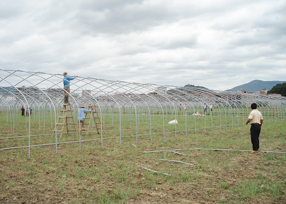19.68' Climate Control Greenhouse PE Roof Height 6m With Ceiling Fan