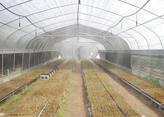 19.68' Climate Control Greenhouse PE Roof Height 6m With Ceiling Fan