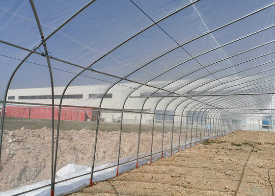 Commercial Plastic Film Greenhouse Hydroponic Hot Dipped Galvanized Steel Structure
