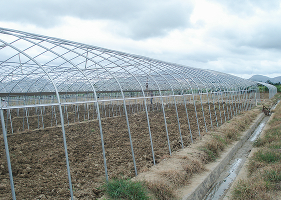 Commercial Plastic Film Greenhouse Hydroponic Hot Dipped Galvanized Steel Structure