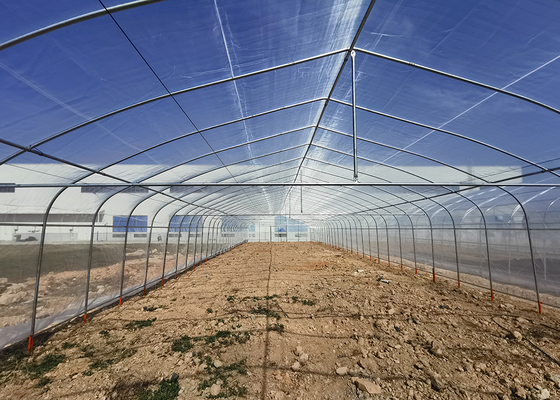 Commercial Plastic Film Greenhouse Hydroponic Hot Dipped Galvanized Steel Structure