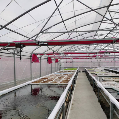 Agriculture Single Span Greenhouse Easy Installation Galvanized Steel Greenhouse