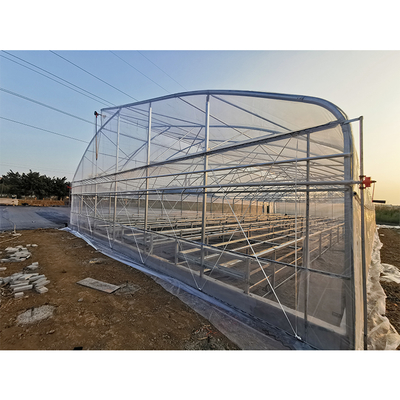 Agriculture Single Span Greenhouse Easy Installation Galvanized Steel Greenhouse