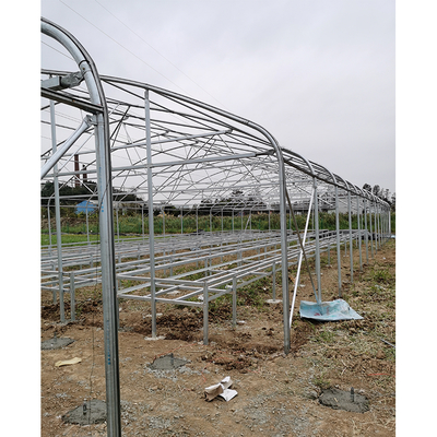 Durable Hot Dipped Galvanized Steel Structure Greenhouses for Tomato Lettuce and Pepper