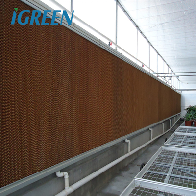 IGreen Agricultural Greenhouses Large Panda Film Greenhouse Suitable for All Climates