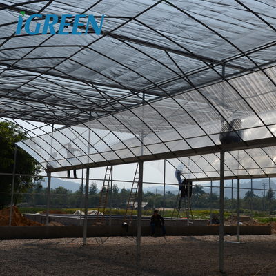 IGreen Agricultural Greenhouses Large Panda Film Greenhouse Suitable for All Climates