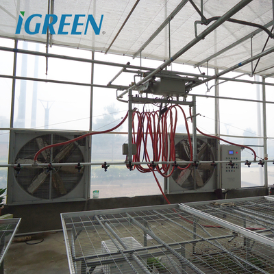 IGreen Agricultural Greenhouses Large Panda Film Greenhouse Suitable for All Climates