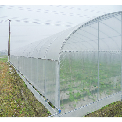 1m Zinc Coating 275gsm Wrought Iron Greenhouse For Duck Or Chicken