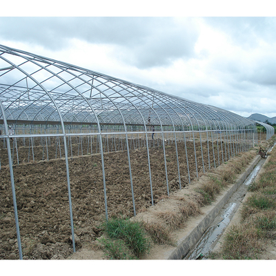 1m Zinc Coating 275gsm Wrought Iron Greenhouse For Duck Or Chicken
