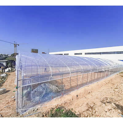 32mm Pipe Diameter Vegetable Green House Customized For Optimal Growth Conditions