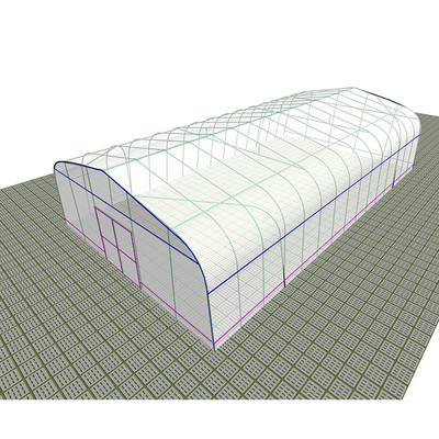 32mm Pipe Diameter Vegetable Green House Customized For Optimal Growth Conditions