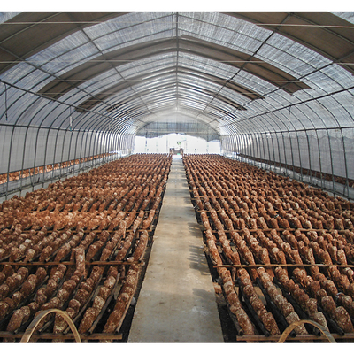 32mm Pipe Diameter Vegetable Green House Customized For Optimal Growth Conditions