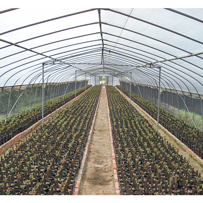 32mm Pipe Diameter Vegetable Green House Customized For Optimal Growth Conditions