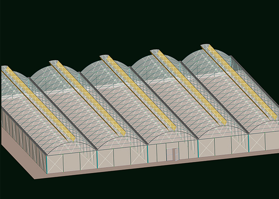 IGreen Length Strawberry Tropical Greenhouse 150/200micron Plastic Film Covering Material