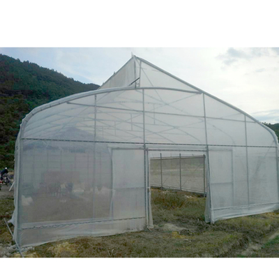 UV Resistant Single Span Greenhouse 200 Micron Plastic Film Long Lasting