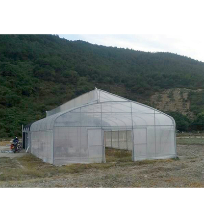 UV Resistant Single Span Greenhouse 200 Micron Plastic Film Long Lasting