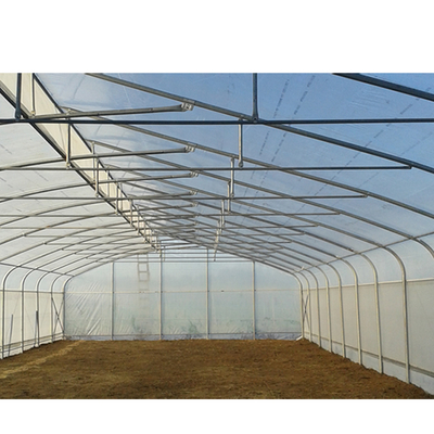 Film Covered Greenhouse Hydroponics System Agricultural DWC Hydroponics System