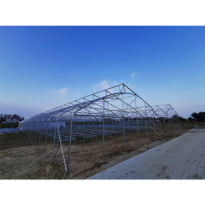 Film Covered Greenhouse Hydroponics System Agricultural DWC Hydroponics System