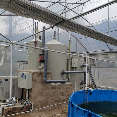 Aquaponics Growing Greenhouse Hydroponics System Automatic Watering Vertical Nft Hydroponics Growing System
